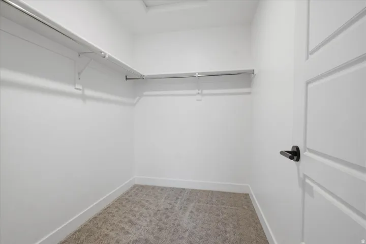 Walk-in closet featuring white walls, carpet flooring, perimeter shelving, and clothing rods