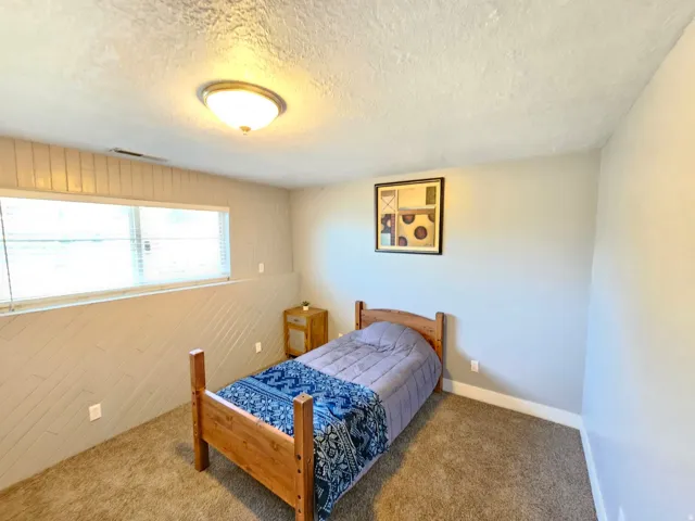 Carpeted flooring, horizontal and diagonal wall paneling, flush mount ceiling light, and window with blinds