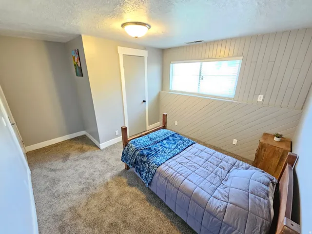 Plush carpet flooring, neutral wall paint, and a wall-mounted light fixture