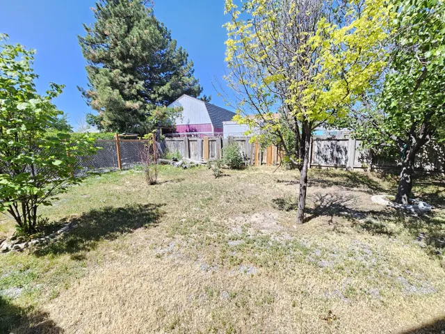 Expansive fenced yard featuring mature trees and a chain-link fence