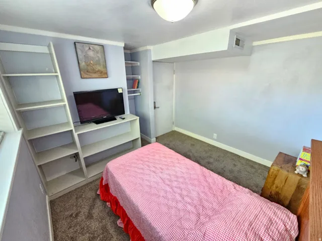 Built-in shelving, integrated desk space, ceiling-mounted light fixture, wall-to-wall carpeting, and a flush-mounted door
