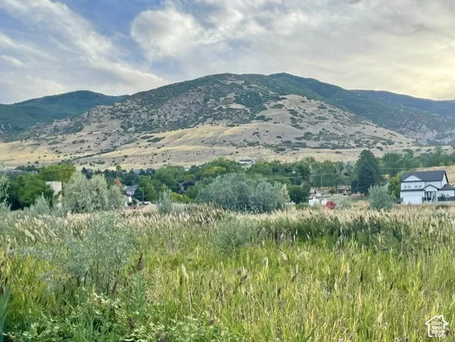 Hess Farms is tucked between Farmington's beautiful Wasatch Mountains and protected green space.