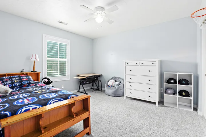 Light gray wall paint, textured carpeting, white window blinds, white ceiling fan, and a white six-cube shelving unit