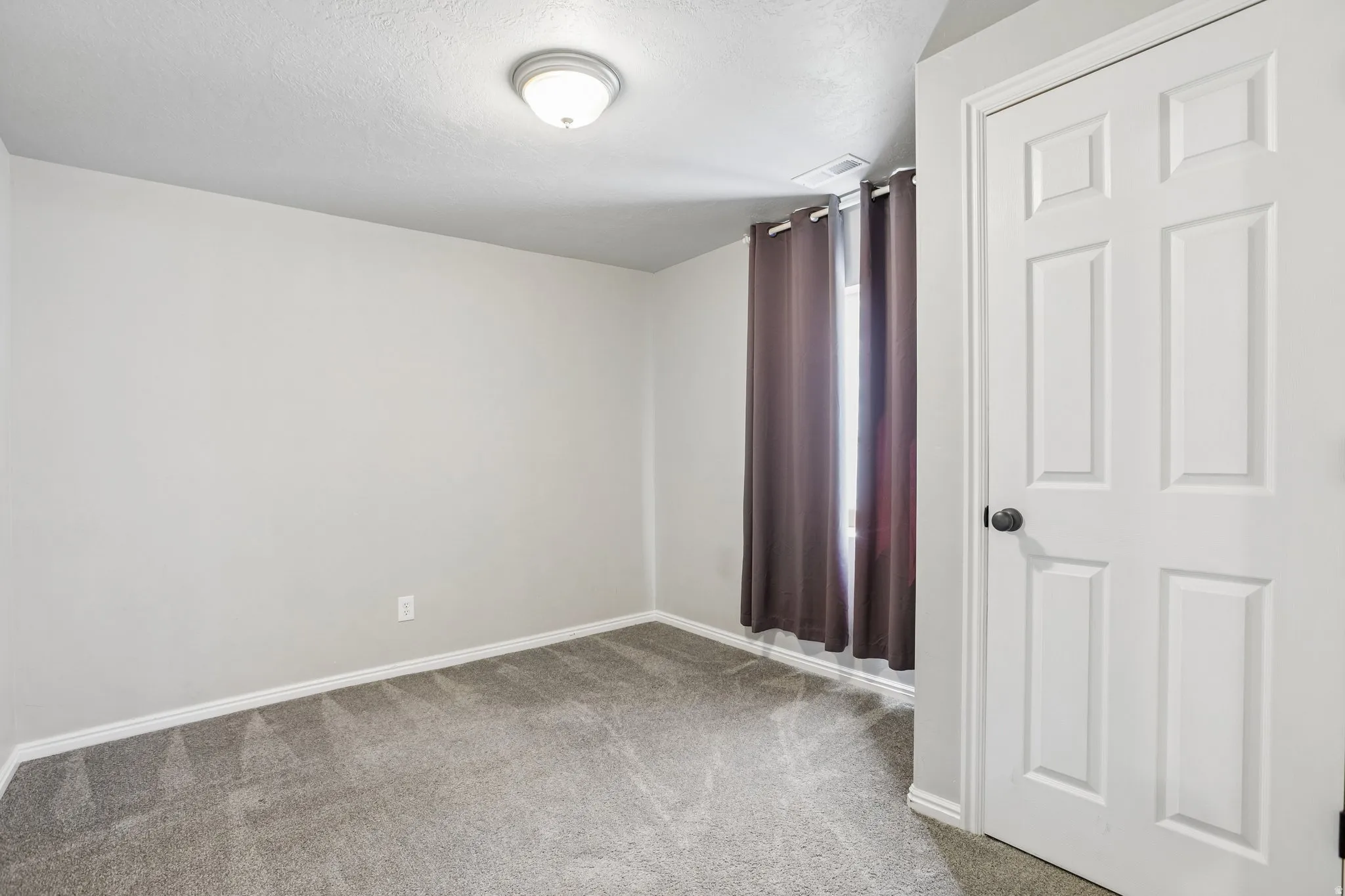 Neutral wall paint, gray carpeting, natural light, six-panel interior door, and a flush mount ceiling light