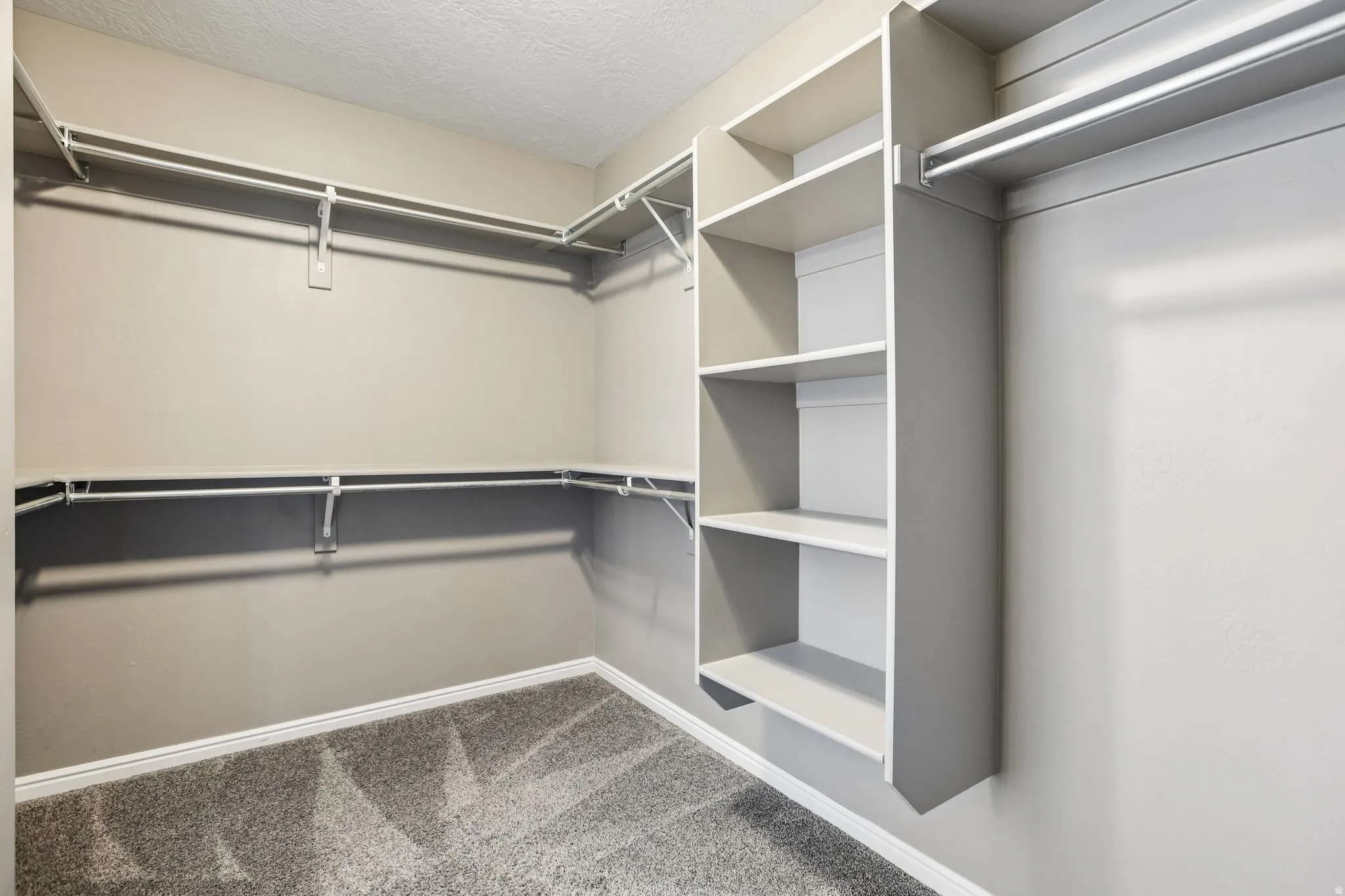 Spacious walk-in closet featuring built-in shelving, multiple hanging rods, and plush carpet flooring