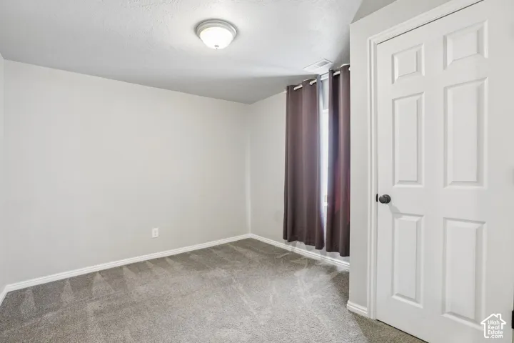 Neutral wall paint, gray carpeting, natural light, six-panel interior door, and a flush mount ceiling light