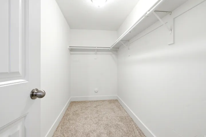 Walk-in closet featuring carpet flooring, built-in shelving, and a hanging rod