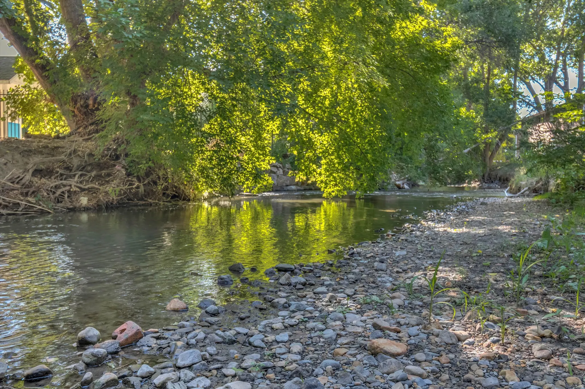 Waterfront property with mature trees and a rocky bank