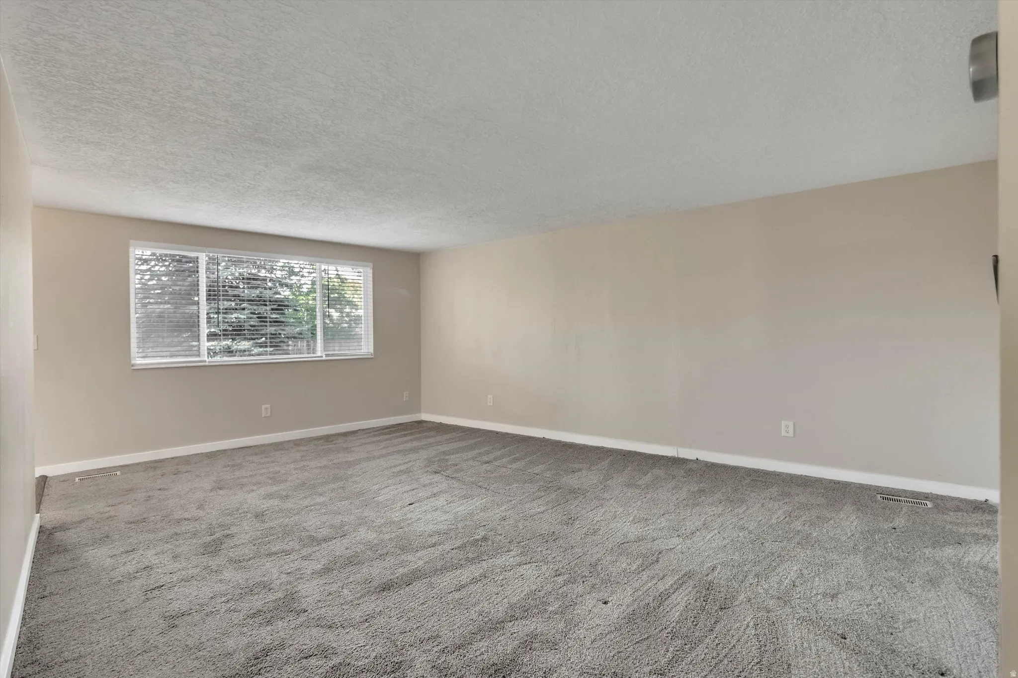 Spacious room featuring neutral painted walls, light gray carpeting, and a large window with horizontal blinds