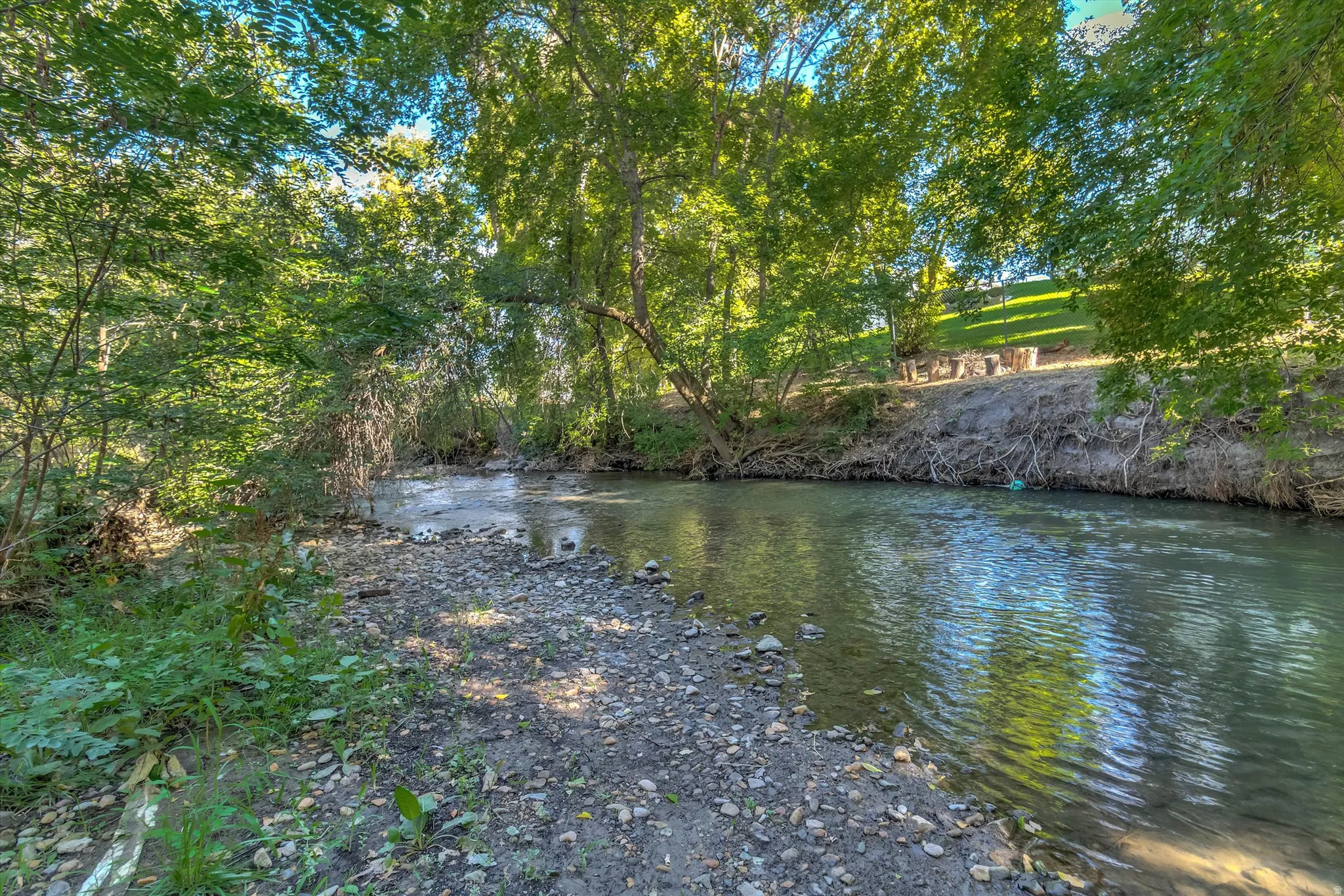 Waterfront property with mature trees, natural vegetation, and a gravel-lined bank