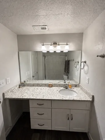 Granite-patterned countertop with an integrated sink, white vanity cabinetry, and wood-finish flooring