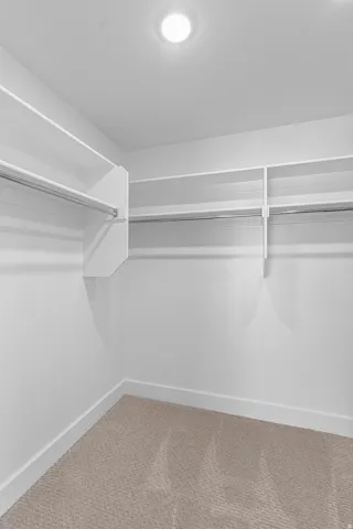 Recessed ceiling light, built-in shelving, chrome hanging rods, and neutral-toned carpeting