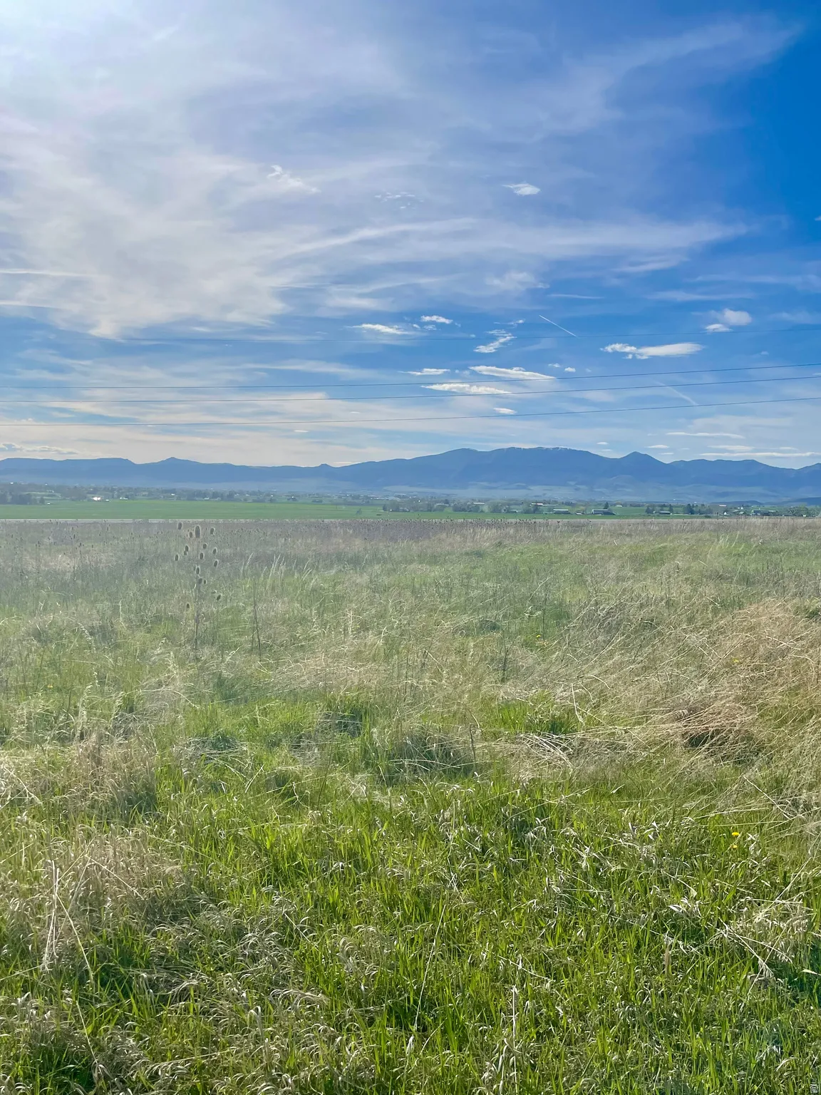 Expansive grassy terrain with distant mountains under a blue sky