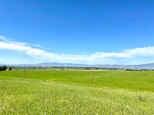 Expansive green field with distant mountain ranges under a clear sky