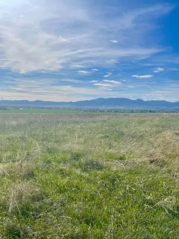 Expansive grassy terrain with distant mountains under a blue sky