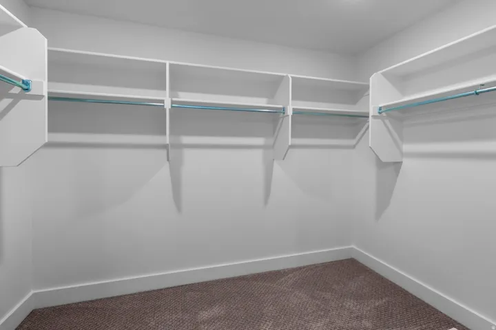 Built-in shelving with hanging rods and carpeted flooring