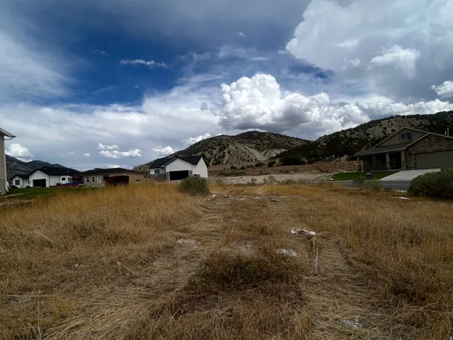 View looking out from lot