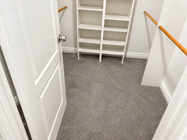 Built-in shelving, two hanging rods, and gray carpet flooring