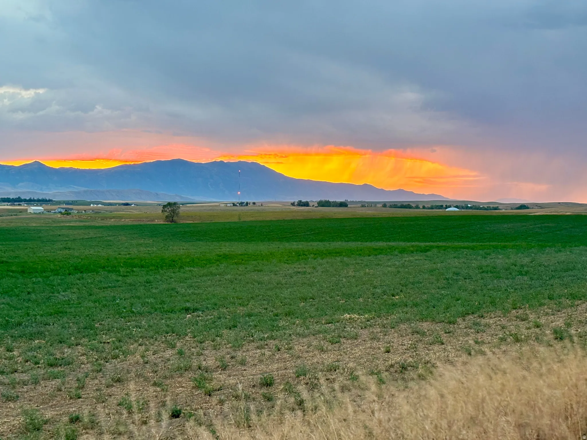 Expansive green fields with a distant mountain range under a colorful sky