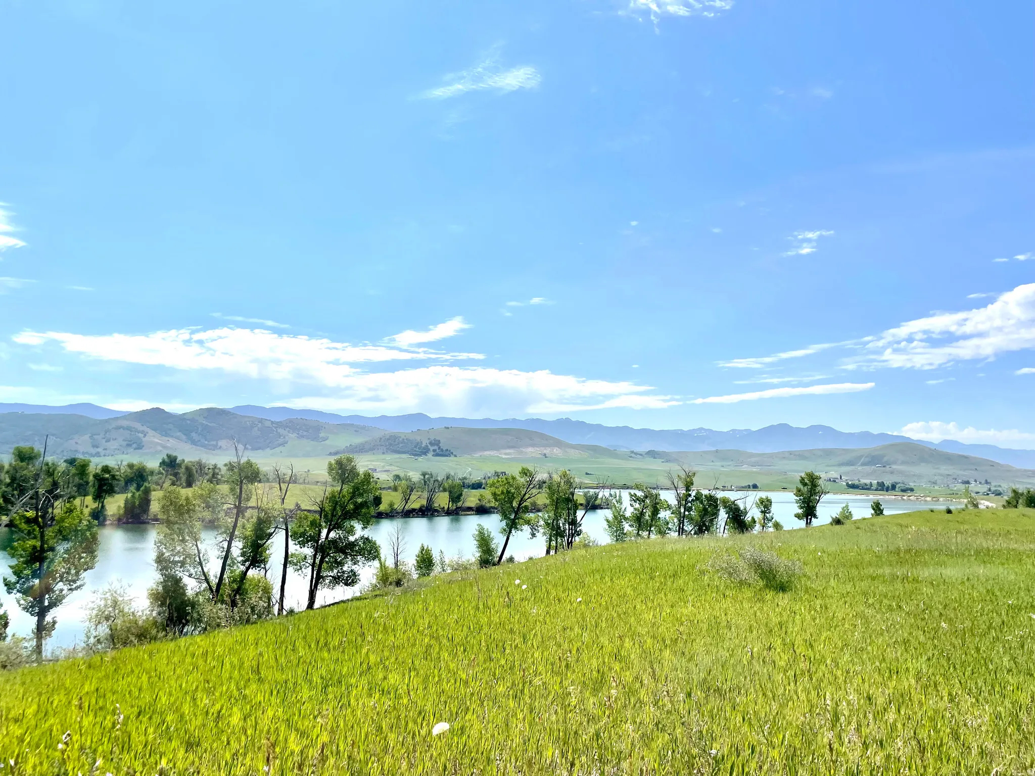 Expansive green landscape with mature trees and a tranquil body of water, set against a backdrop of distant mountains