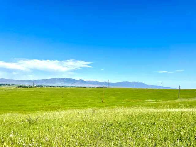 Expansive green field with natural vegetation, distant mountains, and clear blue sky