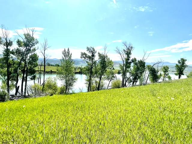 Expansive hillside with lush green grass, mature trees, and a tranquil body of water