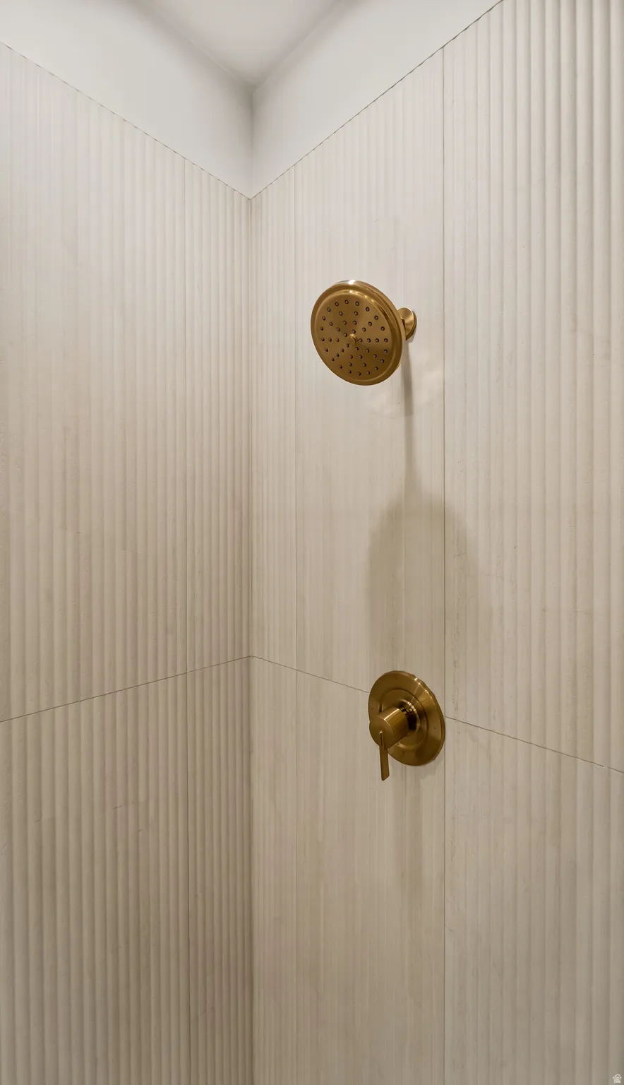 Shower enclosure featuring textured wall tiles and brass-finish fixtures