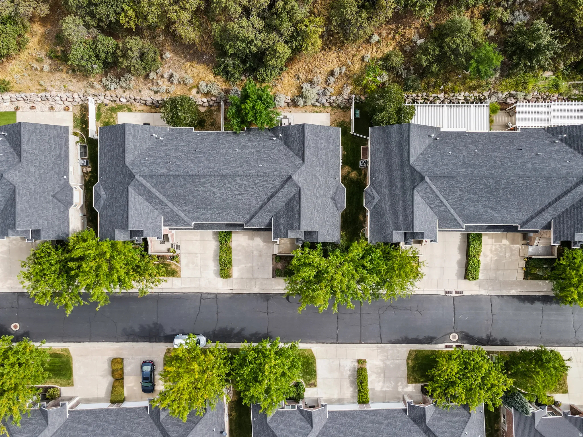 Residential community with mature landscaping and paved roadways