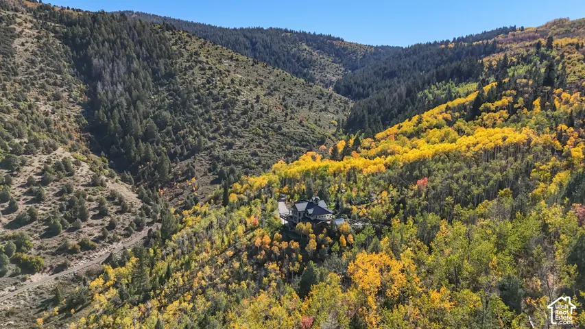 Mountainous terrain with dense foliage and a large residence featuring multiple gables