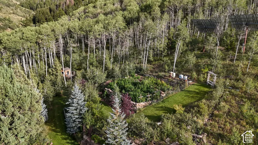 2592 S Red Pine Canyon Rd, Kamas, Utah 84036
