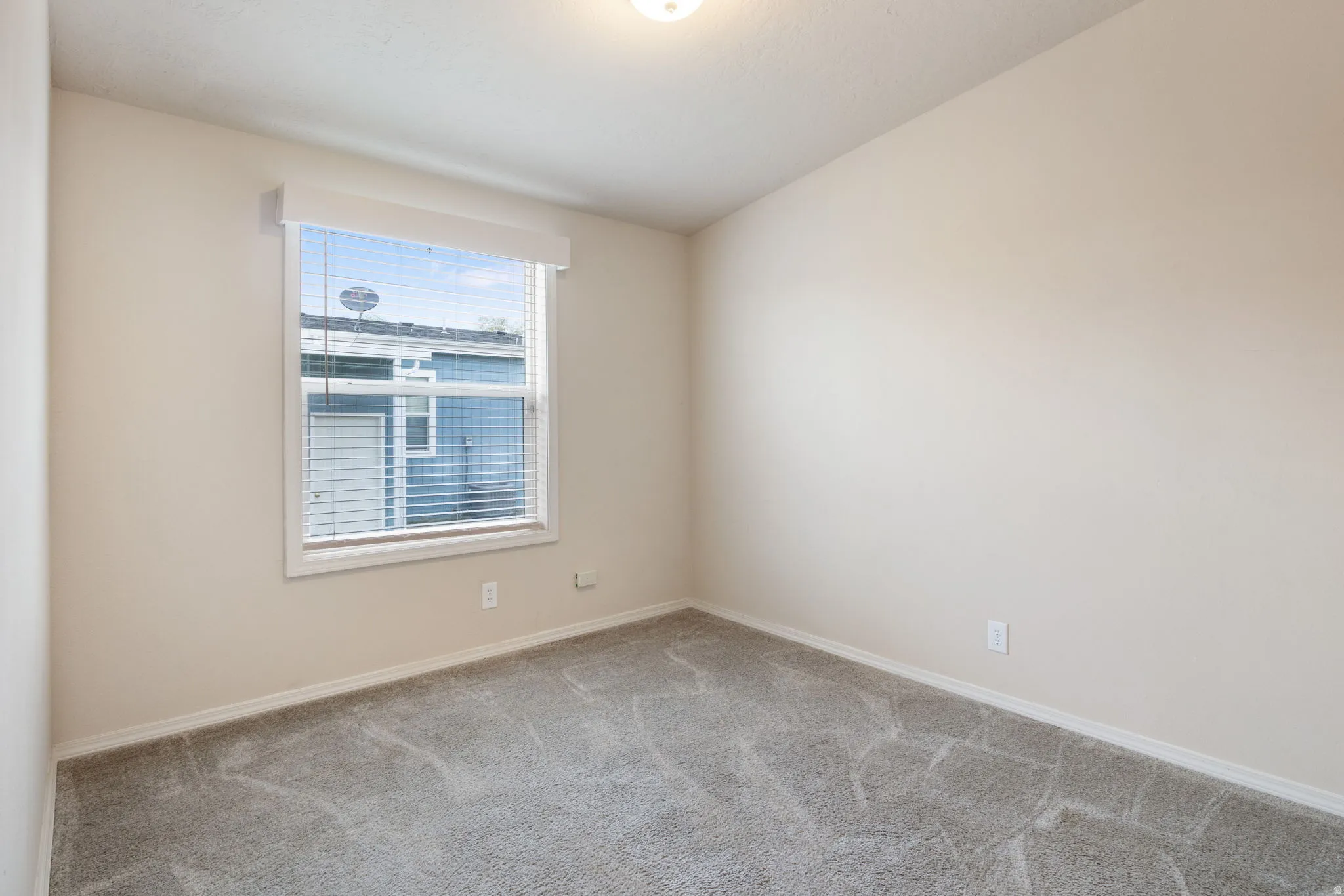 Neutral tone wall paint, window with blinds, overhead light fixture, and textured carpeting