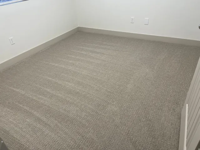 Textured carpet flooring, neutral wall paint, and white trim