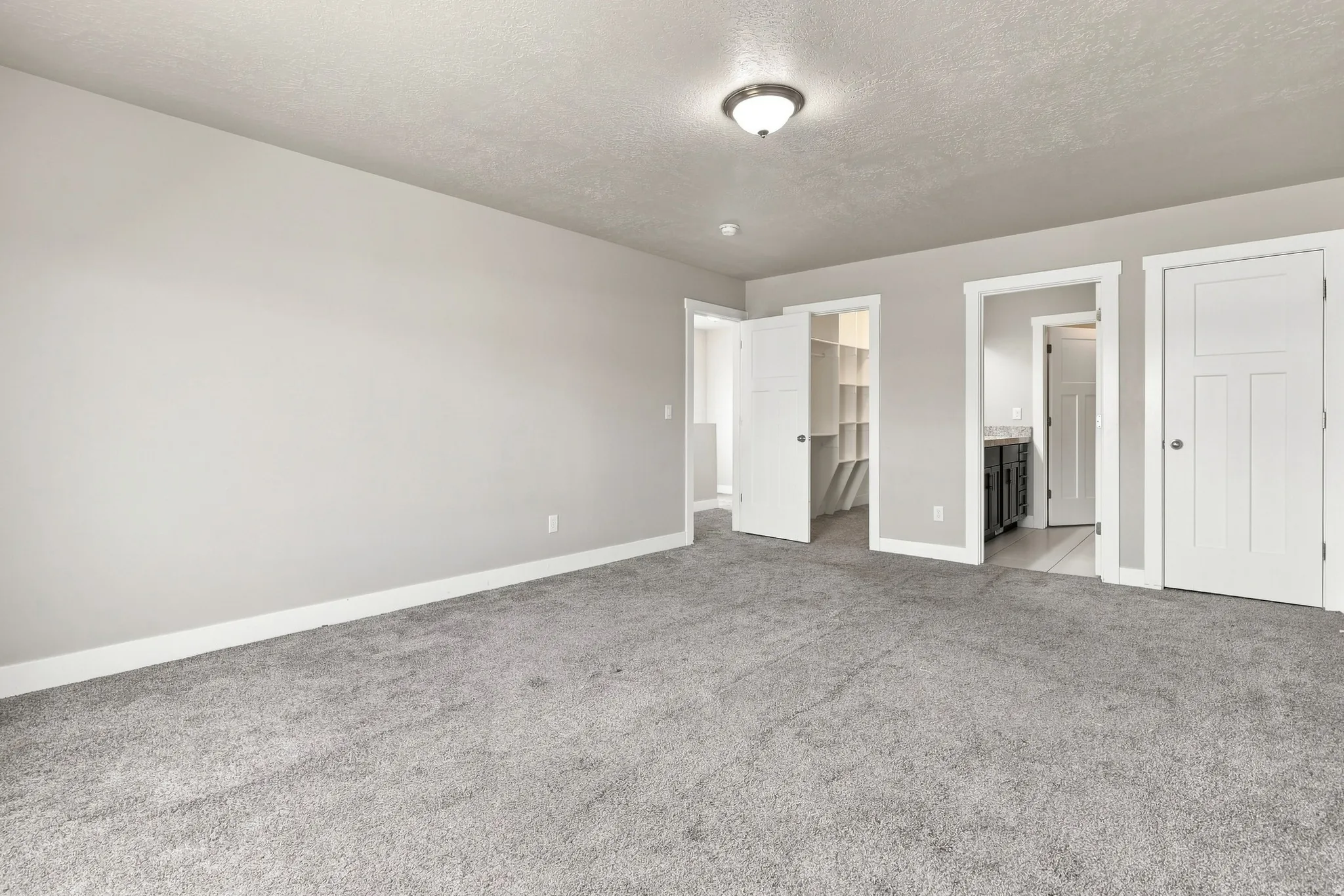 Spacious room featuring gray wall paint, gray carpeting, a built-in closet system, and a flush mount ceiling light