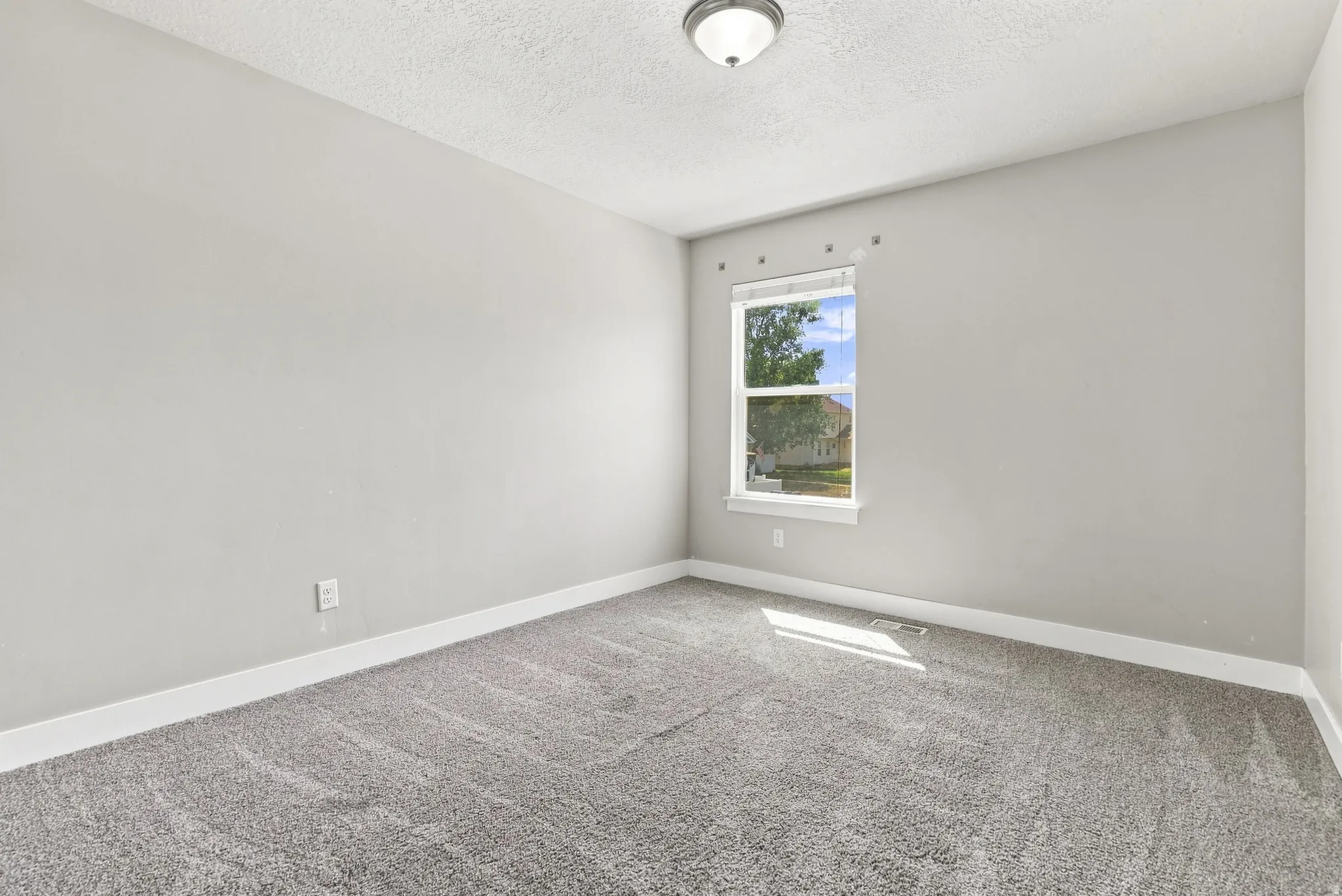 Neutral wall paint, ceiling-mounted light fixture, window with white trim, and gray carpeting