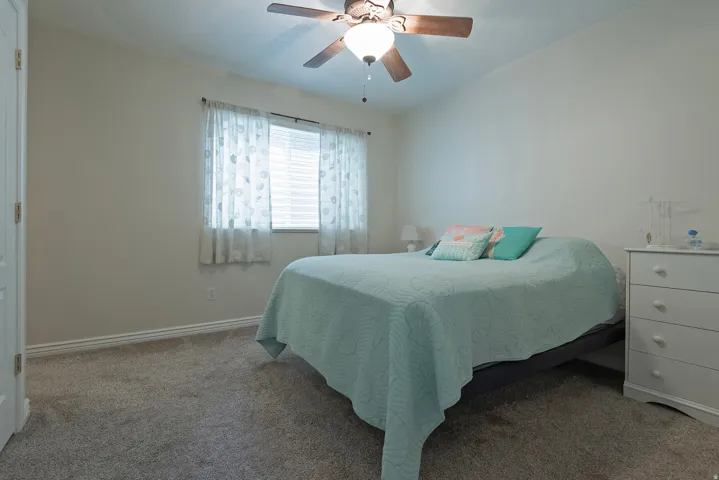 Carpeted room featuring a ceiling fan with light fixture and a window with blinds