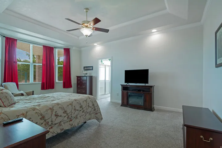 Tray ceiling with crown molding, ceiling fan, carpeted flooring, and multiple windows with blinds