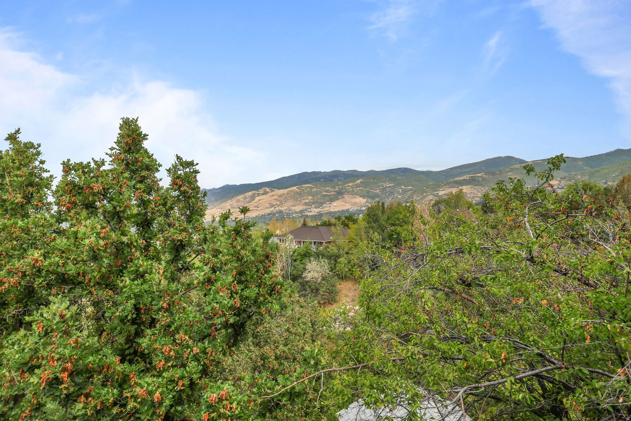 Mountain backdrop with distant residential structures
