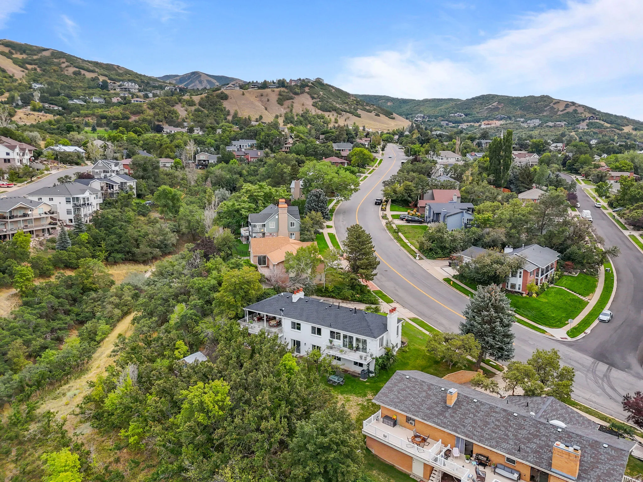 Expansive neighborhood featuring mature trees and winding streets