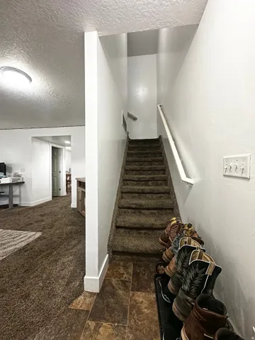 Carpeted staircase with wall-mounted handrail