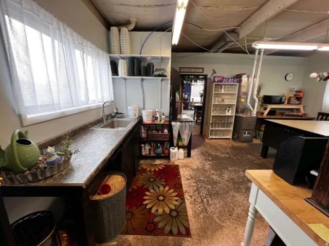 Functional utility space featuring a long countertop with an integrated sink, under-cabinet storage, and ample natural light from multiple windows