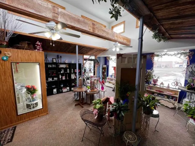 Vaulted ceiling with exposed wood beams, multiple ceiling fans, wall-mounted display shelving, wood-paneled wall, and front-facing window