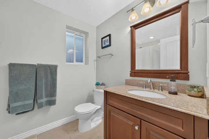 Lower Level Bathroom