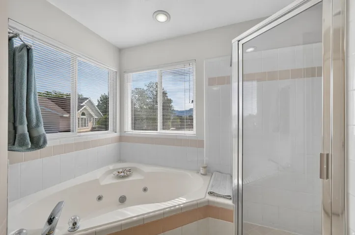 Jetted Tub & Separate Shower