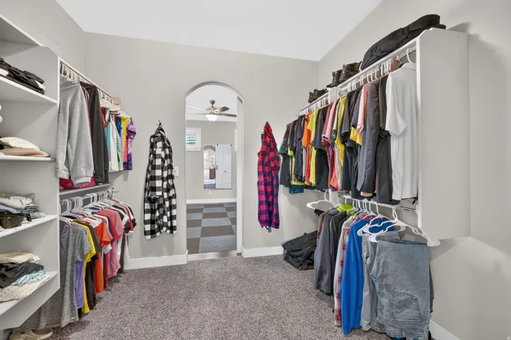 Carpeted walk-in closet featuring white shelving and hanging rods