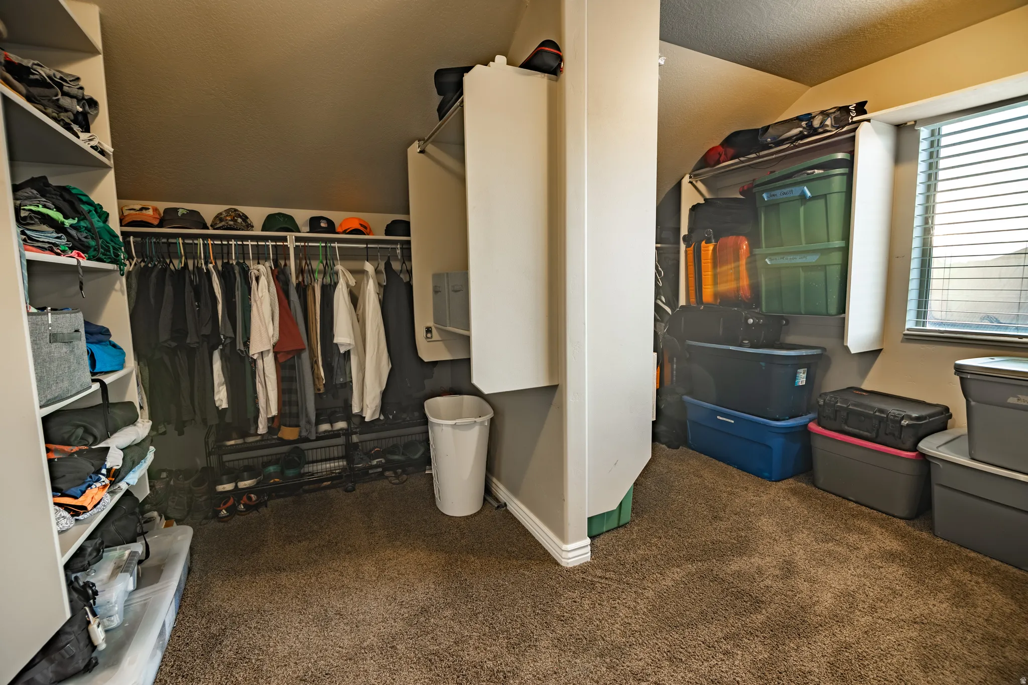 Carpeted closet with built-in shelving, hanging rods, and a window with horizontal blinds