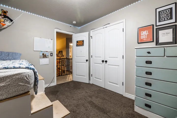 Plush carpeting, neutral wall tones, and white trim work