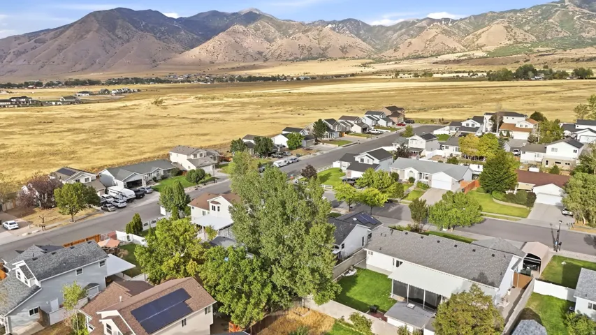 Residential neighborhood with mountain backdrop, featuring single-family homes, established trees, and paved streets