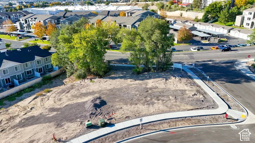 Cleared lot with established trees, paved street access, and a concrete sidewalk