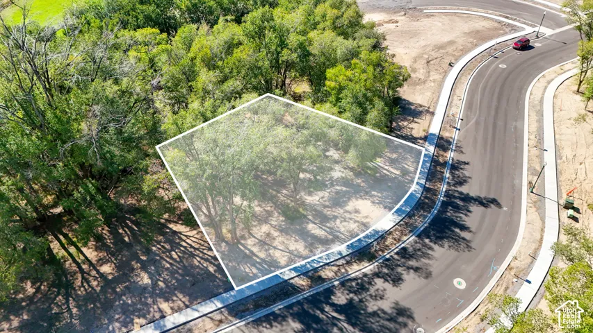 Vacant lot with mature trees, offering a street-facing orientation with new asphalt and concrete curbing
