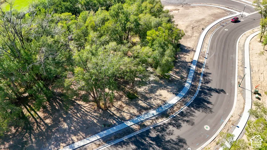 Paved street with concrete curbing and sidewalks, bordered by mature trees